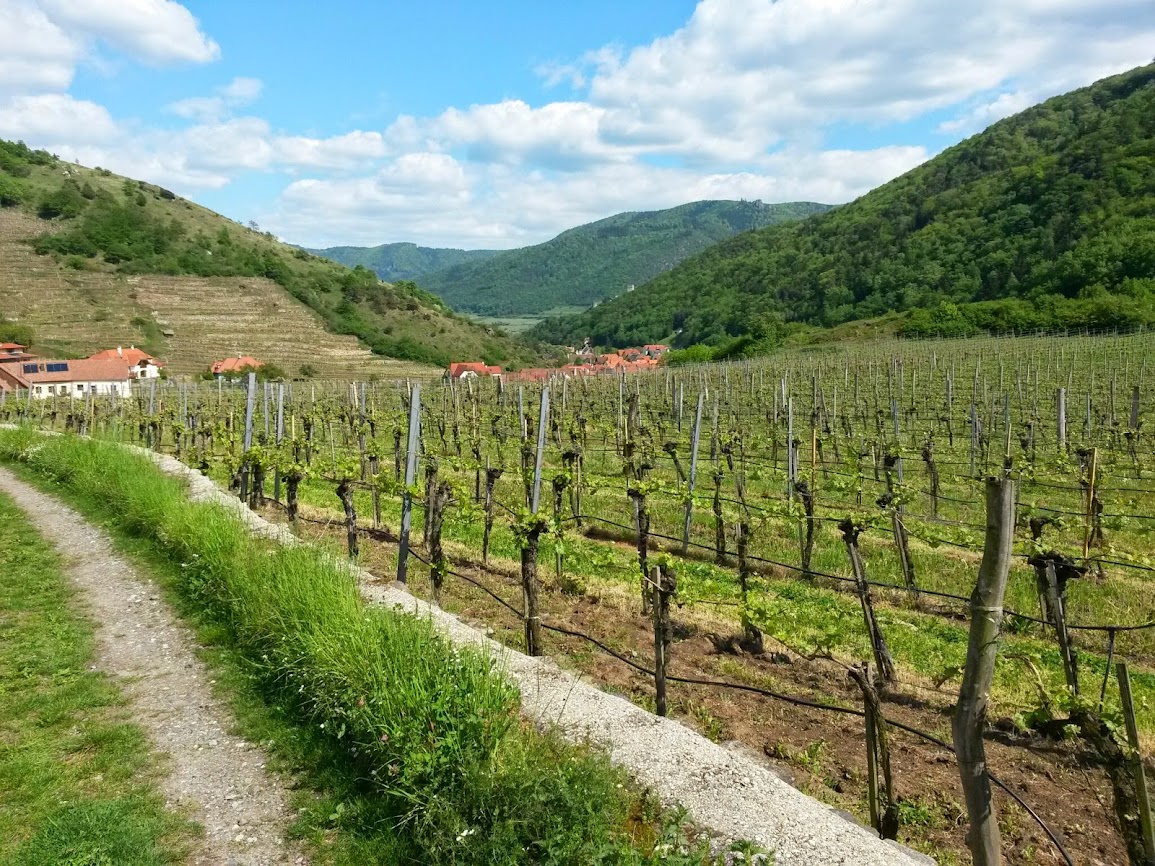 lh4.googleusercontent.com_-aoos-mbwakg_u2zsaqifzxi_aaaaaaaaxdk_hu1j7tzzakg_w1155-h866-no_20140504_145531.jpg lh4.googleusercontent.com_-aoos-mbwakg_u2zsaqifzxi_aaaaaaaaxdk_hu1j7tzzakg_w1155-h866-no_20140504_145531.jpg