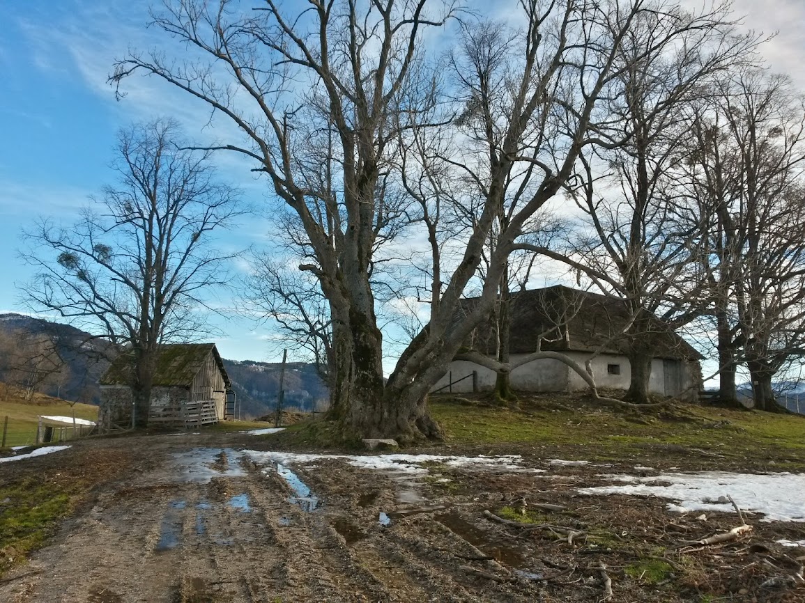 lh6.googleusercontent.com_-n1pumpmtcro_ur7pz-h586i_aaaaaaaaulg_b-abugcvbfg_w1155-h866-no_20131228_132335_richtone_2528hdr_2529.jpg lh6.googleusercontent.com_-n1pumpmtcro_ur7pz-h586i_aaaaaaaaulg_b-abugcvbfg_w1155-h866-no_20131228_132335_richtone_2528hdr_2529.jpg