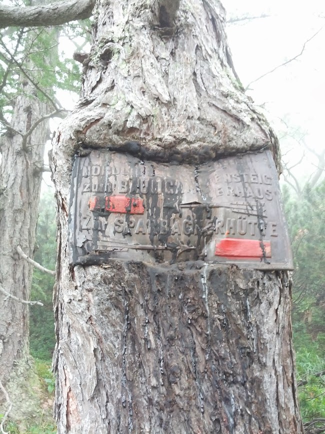 lh5.googleusercontent.com_-jg-wbws8kqk_uhjnwc4lyji_aaaaaaaap14_lmi1mamenly_w650-h866-no_img_20130824_112817.jpg lh5.googleusercontent.com_-jg-wbws8kqk_uhjnwc4lyji_aaaaaaaap14_lmi1mamenly_w650-h866-no_img_20130824_112817.jpg