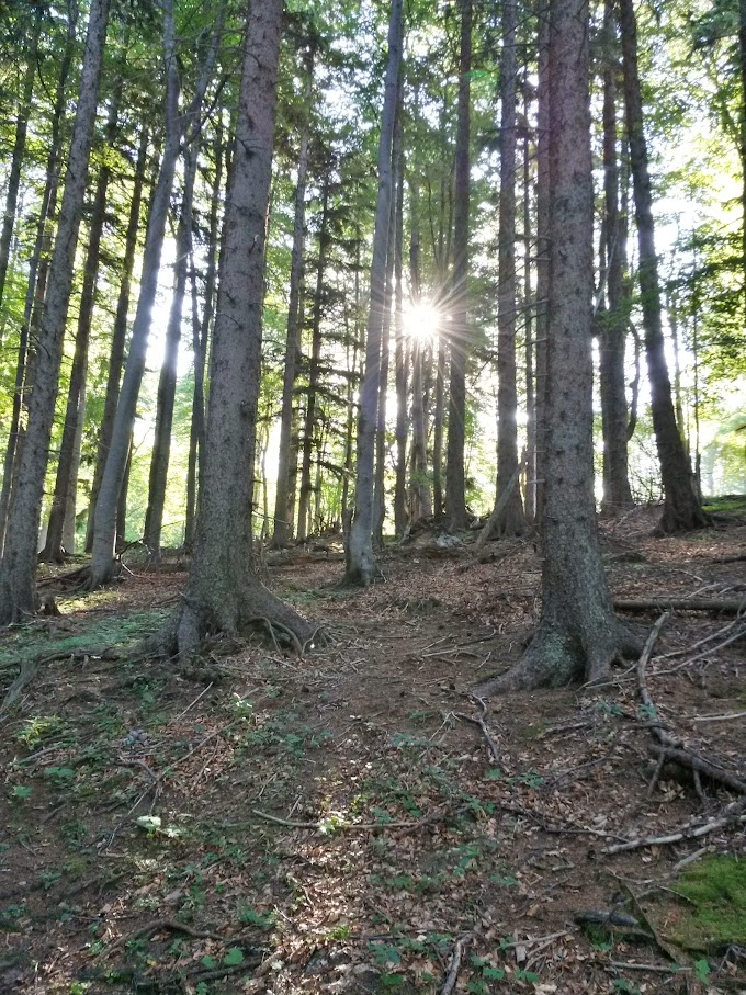 lh6.googleusercontent.com_-jm0bh9u1v8y_vzfkiugpaqi_aaaaaaaamdo_oeoojkoceu8_w680-h907-no_20150704_074457_richtone_2528hdr_2529.jpg lh6.googleusercontent.com_-jm0bh9u1v8y_vzfkiugpaqi_aaaaaaaamdo_oeoojkoceu8_w680-h907-no_20150704_074457_richtone_2528hdr_2529.jpg