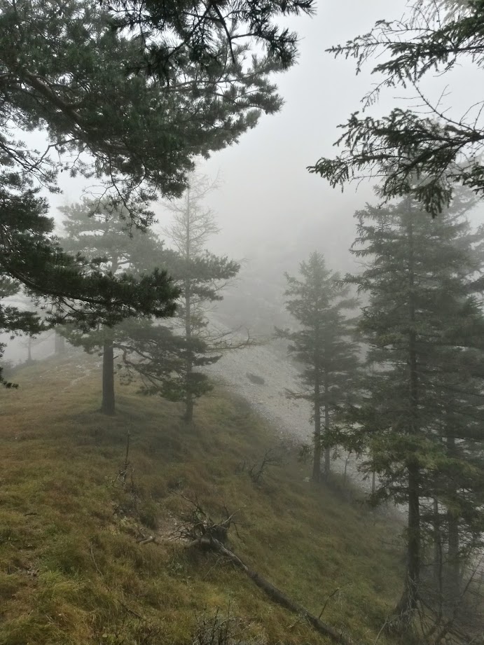 lh5.googleusercontent.com_-hiwz70lxsjc_veu7t71v38i_aaaaaaaaeyw_ycj7ogwym68_w691-h921-no_20141025_100821_richtone_28hdr_29.jpg lh5.googleusercontent.com_-hiwz70lxsjc_veu7t71v38i_aaaaaaaaeyw_ycj7ogwym68_w691-h921-no_20141025_100821_richtone_28hdr_29.jpg