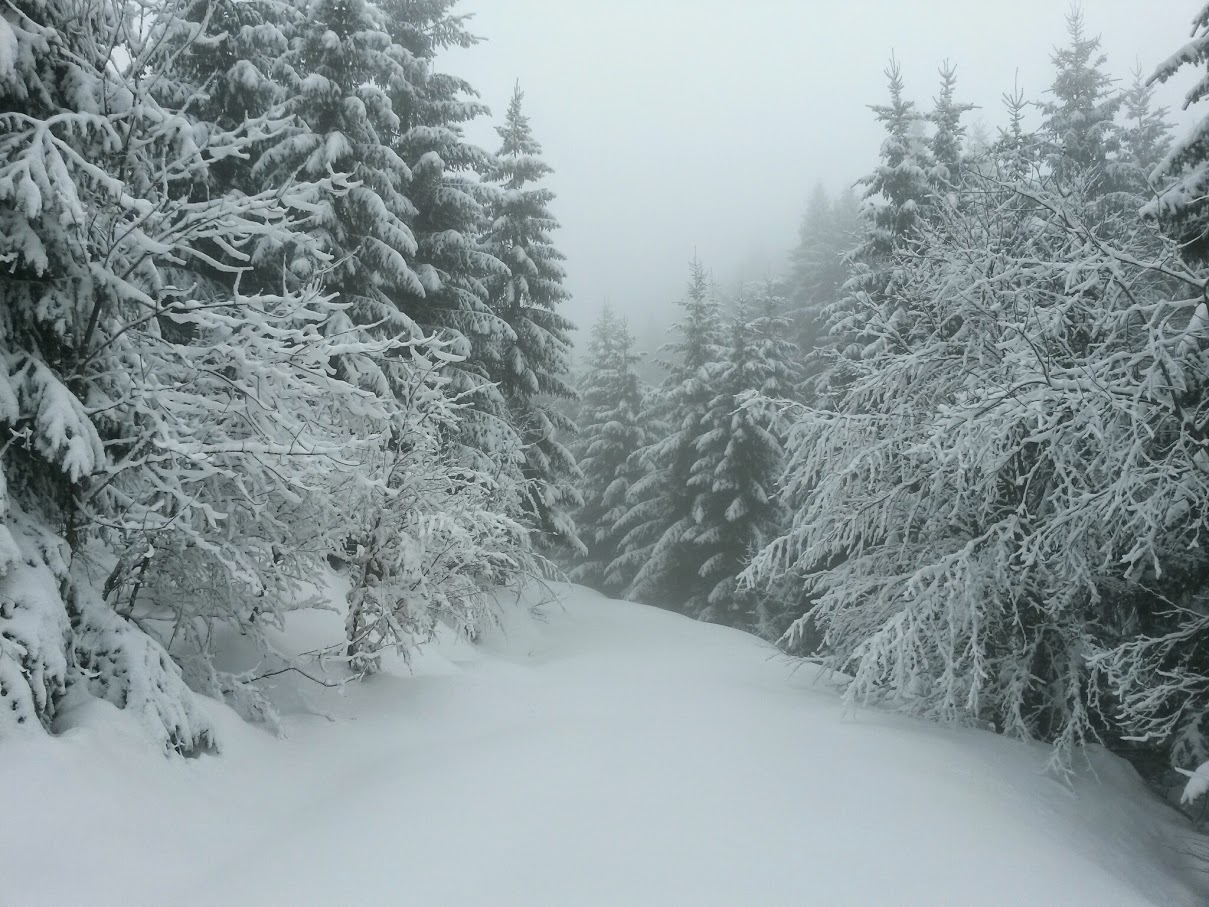 lh3.googleusercontent.com_-kjojcok-ltg_vqqlayaio2i_aaaaaaaah5e_fxcyr5s-ohm_w1209-h907-no_20150314_125500_richtone_28hdr_29.jpg lh3.googleusercontent.com_-kjojcok-ltg_vqqlayaio2i_aaaaaaaah5e_fxcyr5s-ohm_w1209-h907-no_20150314_125500_richtone_28hdr_29.jpg