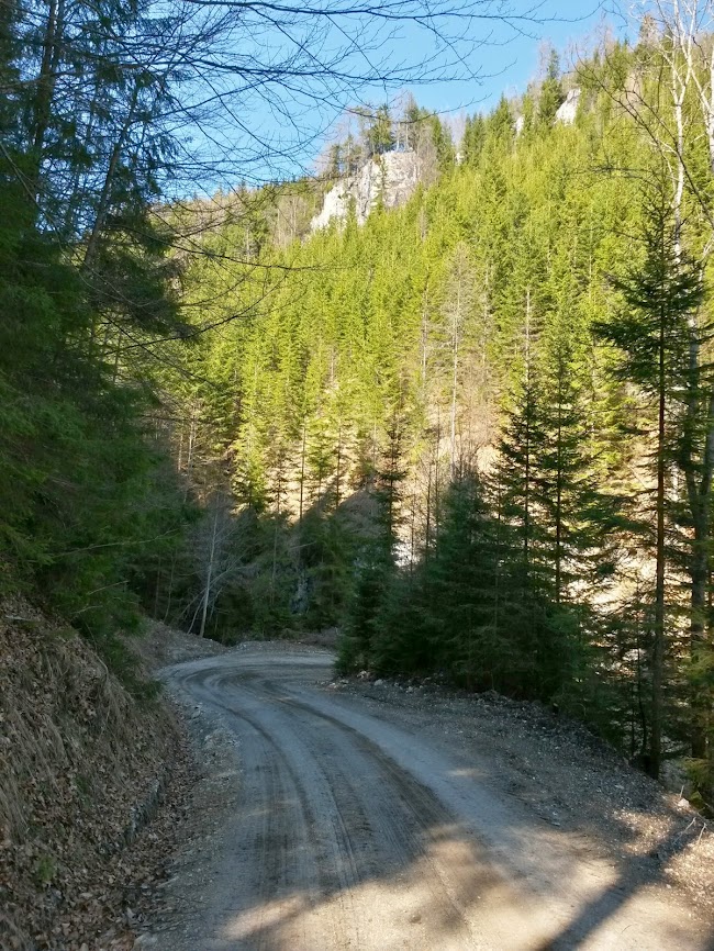 lh4.googleusercontent.com_-uq3arrlhfx8_uzboun7ptmi_aaaaaaaawfq_qo1i9pbhtz4_w650-h866-no_20140329_140245_richtone_2528hdr_2529.jpg lh4.googleusercontent.com_-uq3arrlhfx8_uzboun7ptmi_aaaaaaaawfq_qo1i9pbhtz4_w650-h866-no_20140329_140245_richtone_2528hdr_2529.jpg