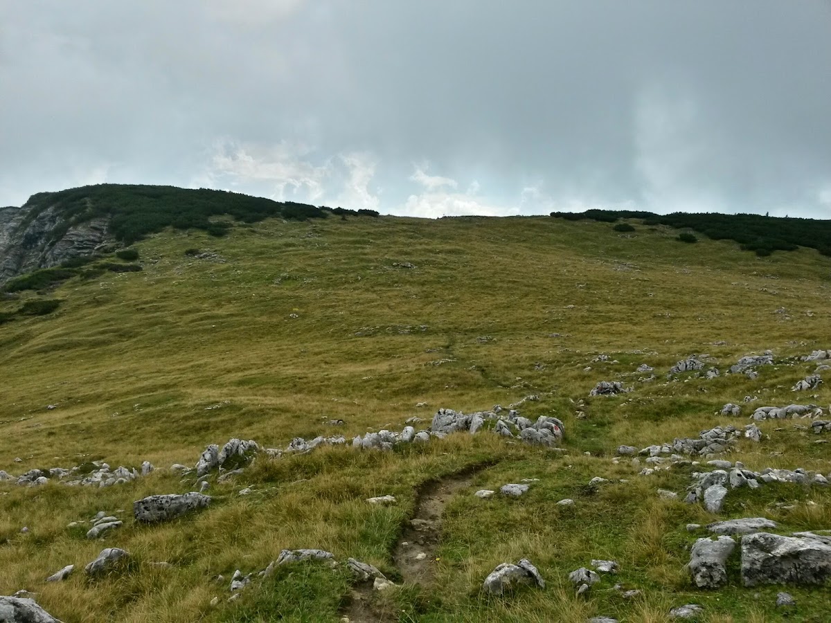 lh6.googleusercontent.com_-rmxxxbqvwvu_vaxfuypjngi_aaaaaaaacoc_njbqn6ikdyo_w1200-h900-no_20140907_131506_richtone_28hdr_29.jpg lh6.googleusercontent.com_-rmxxxbqvwvu_vaxfuypjngi_aaaaaaaacoc_njbqn6ikdyo_w1200-h900-no_20140907_131506_richtone_28hdr_29.jpg