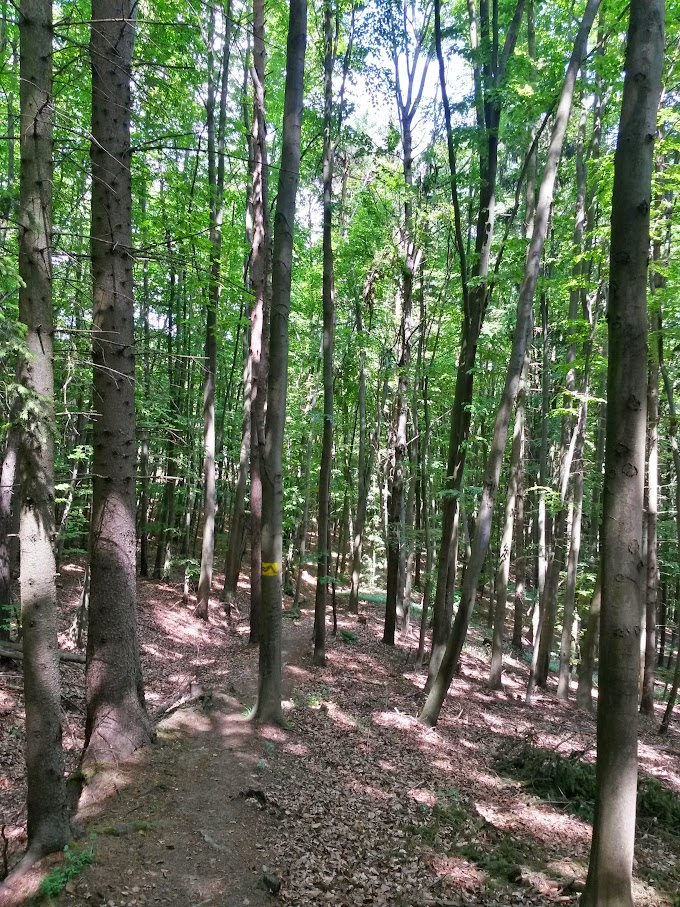 lh4.googleusercontent.com_-ax5mwffgh_e_vvstw6r5gci_aaaaaaaajdq_5fr40khf6yi_w680-h907-no_20150514_141343_richtone_2528hdr_2529.jpg lh4.googleusercontent.com_-ax5mwffgh_e_vvstw6r5gci_aaaaaaaajdq_5fr40khf6yi_w680-h907-no_20150514_141343_richtone_2528hdr_2529.jpg