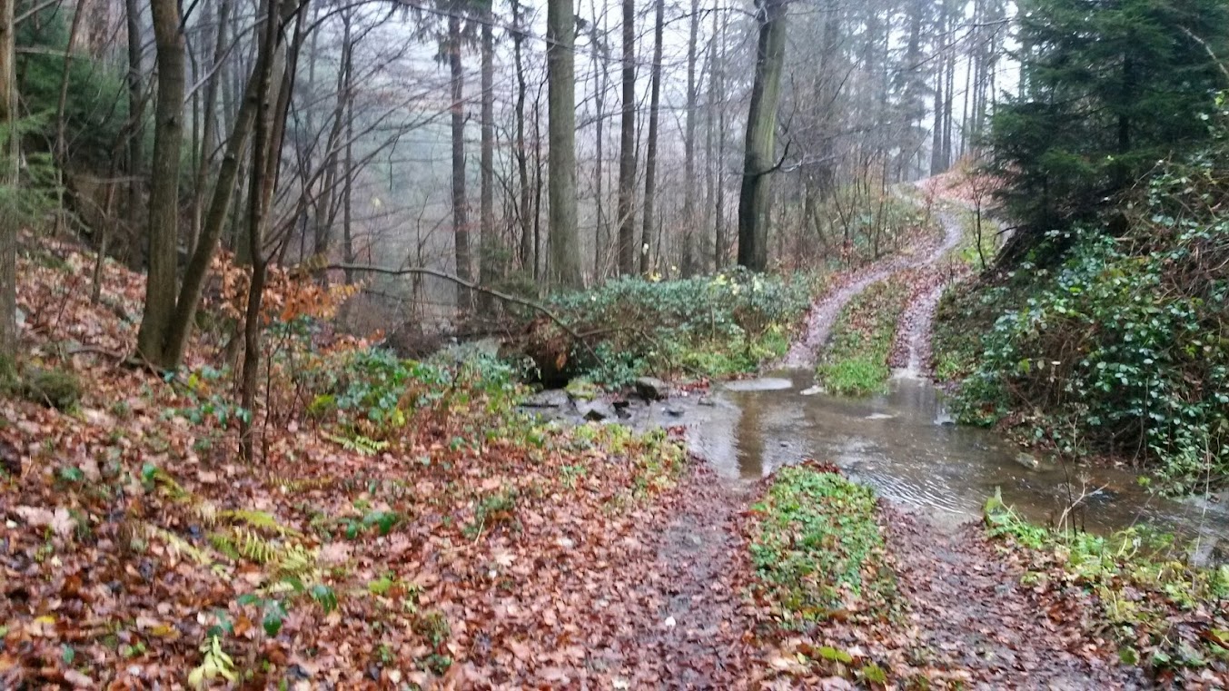 lh3.googleusercontent.com_-fykssqpdkyu_upcrur7llii_aaaaaaaashy_vrtbz7cy-j4_w1353-h761-no_20131123_094051_richtone_2528hdr_2529.jpg lh3.googleusercontent.com_-fykssqpdkyu_upcrur7llii_aaaaaaaashy_vrtbz7cy-j4_w1353-h761-no_20131123_094051_richtone_2528hdr_2529.jpg