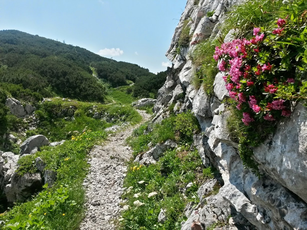 lh5.googleusercontent.com_-7kswf797kbk_u8qdiit4kqi_aaaaaaaabqk_qgpuiwoicw4_w1228-h921-no_20140719_130047_richtone_2528hdr_2529.jpg lh5.googleusercontent.com_-7kswf797kbk_u8qdiit4kqi_aaaaaaaabqk_qgpuiwoicw4_w1228-h921-no_20140719_130047_richtone_2528hdr_2529.jpg