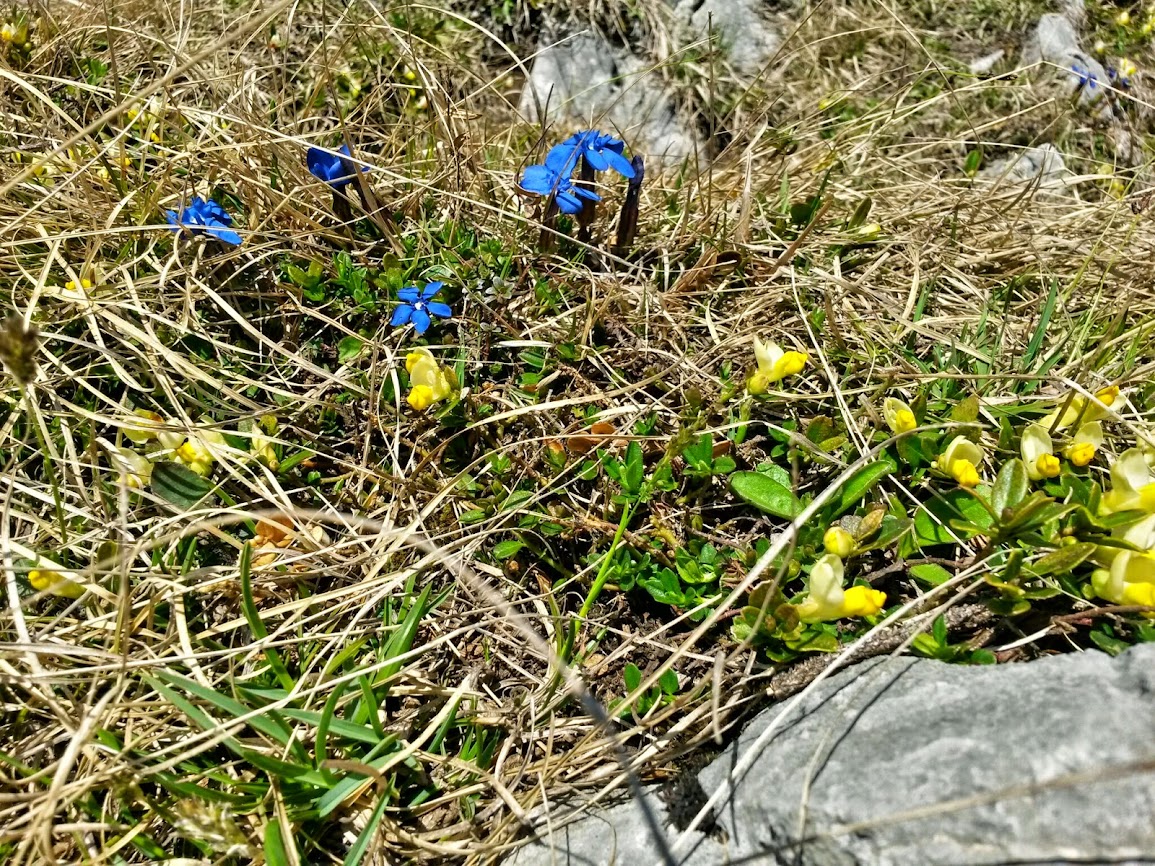 lh5.googleusercontent.com_-ni6vqxktay0_u0pt79byuci_aaaaaaaawh4_zdiqosfhlhw_w1155-h866-no_20140411_142937_richtone_2528hdr_2529.jpg lh5.googleusercontent.com_-ni6vqxktay0_u0pt79byuci_aaaaaaaawh4_zdiqosfhlhw_w1155-h866-no_20140411_142937_richtone_2528hdr_2529.jpg