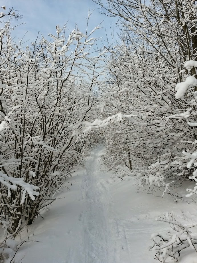 lh5.googleusercontent.com_-9u9df_6pn1o_vkquxsmihci_aaaaaaaagla_jkbqxk97bl8_w691-h921-no_20141231_110453_richtone_28hdr_29.jpg lh5.googleusercontent.com_-9u9df_6pn1o_vkquxsmihci_aaaaaaaagla_jkbqxk97bl8_w691-h921-no_20141231_110453_richtone_28hdr_29.jpg