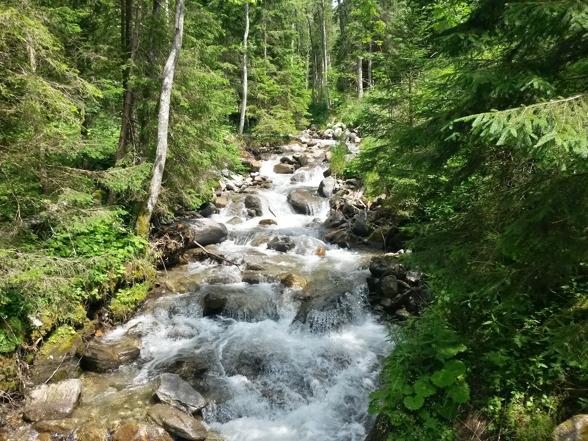 lh3.googleusercontent.com_-tfcnzeh5_1k_vypulow3i3i_aaaaaaaakzi_4zar4a40uca_w1200-h900-no_20150619_114230_richtone_2528hdr_2529.jpg lh3.googleusercontent.com_-tfcnzeh5_1k_vypulow3i3i_aaaaaaaakzi_4zar4a40uca_w1200-h900-no_20150619_114230_richtone_2528hdr_2529.jpg