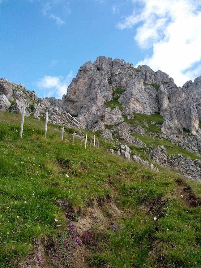 lh6.googleusercontent.com_-qgqsyj0vgsq_ufki5ka67ti_aaaaaaaapc8_9cbwi3aezsa_w650-h866-no_img_20130731_093802.jpg lh6.googleusercontent.com_-qgqsyj0vgsq_ufki5ka67ti_aaaaaaaapc8_9cbwi3aezsa_w650-h866-no_img_20130731_093802.jpg