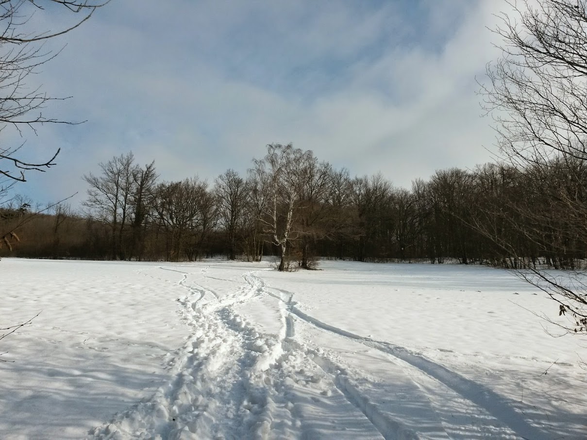 lh4.googleusercontent.com_-5ez5c9dtkc4_vnywj_ijzhi_aaaaaaaahre_i-jxkcccb08_w1209-h907-no_20150207_101124_richtone_28hdr_29.jpg lh4.googleusercontent.com_-5ez5c9dtkc4_vnywj_ijzhi_aaaaaaaahre_i-jxkcccb08_w1209-h907-no_20150207_101124_richtone_28hdr_29.jpg