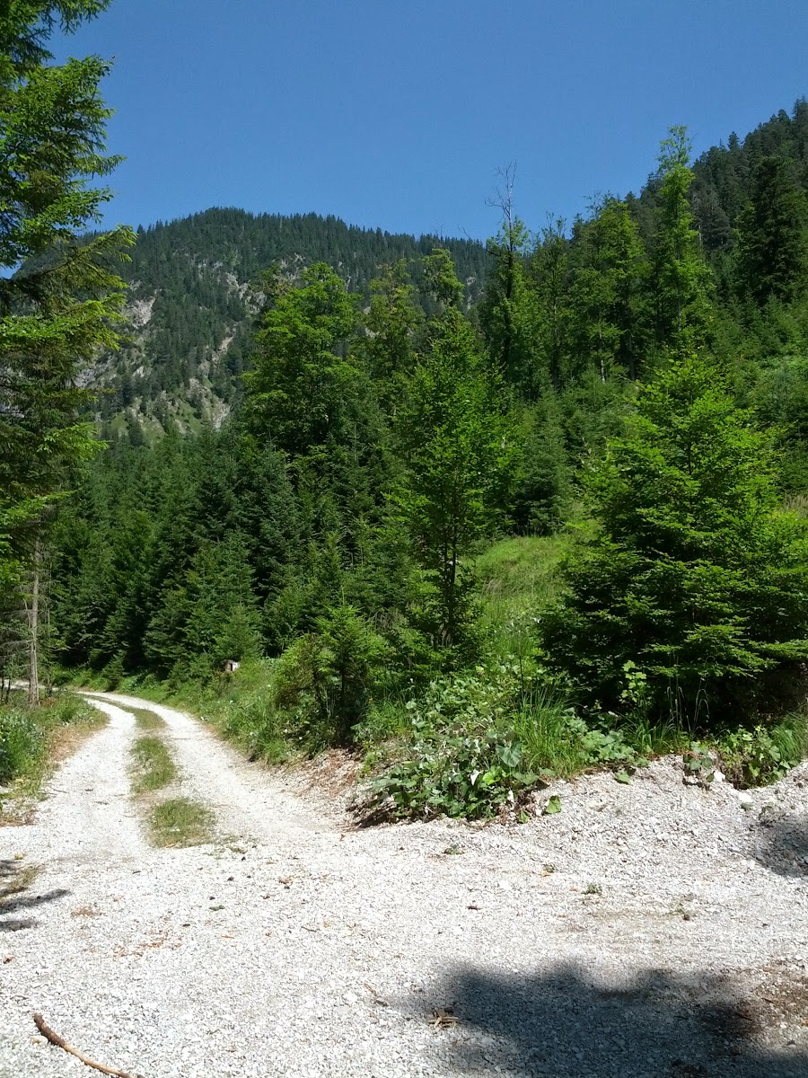 lh5.googleusercontent.com_-ujt34bmdpuy_ufp14myxiri_aaaaaaaaose_tigjpzhmni8_w900-h1200-no_img_20130727_130148.jpg lh5.googleusercontent.com_-ujt34bmdpuy_ufp14myxiri_aaaaaaaaose_tigjpzhmni8_w900-h1200-no_img_20130727_130148.jpg