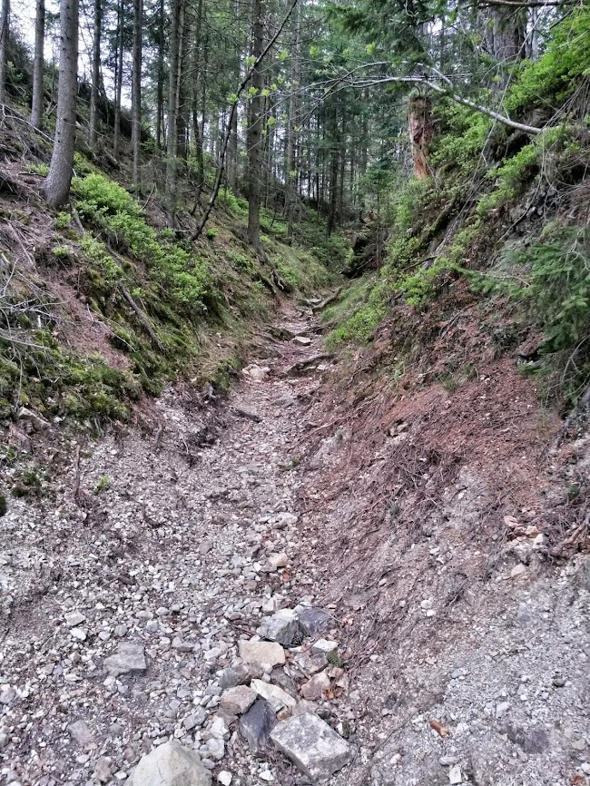 lh5.googleusercontent.com_-ohq11oc-78u_u0uq19tu5-i_aaaaaaaawog_f2rptulxiw8_w650-h866-no_20140414_093922_richtone_2528hdr_2529.jpg lh5.googleusercontent.com_-ohq11oc-78u_u0uq19tu5-i_aaaaaaaawog_f2rptulxiw8_w650-h866-no_20140414_093922_richtone_2528hdr_2529.jpg