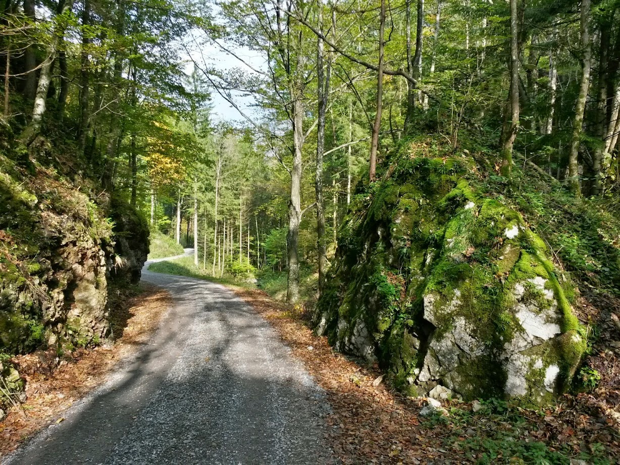 lh6.googleusercontent.com_-wwctzczithy_vdbbi-zyryi_aaaaaaaaecy_2dgmo95ml-u_w1228-h921-no_20141004_141652_richtone_28hdr_29.jpg lh6.googleusercontent.com_-wwctzczithy_vdbbi-zyryi_aaaaaaaaecy_2dgmo95ml-u_w1228-h921-no_20141004_141652_richtone_28hdr_29.jpg