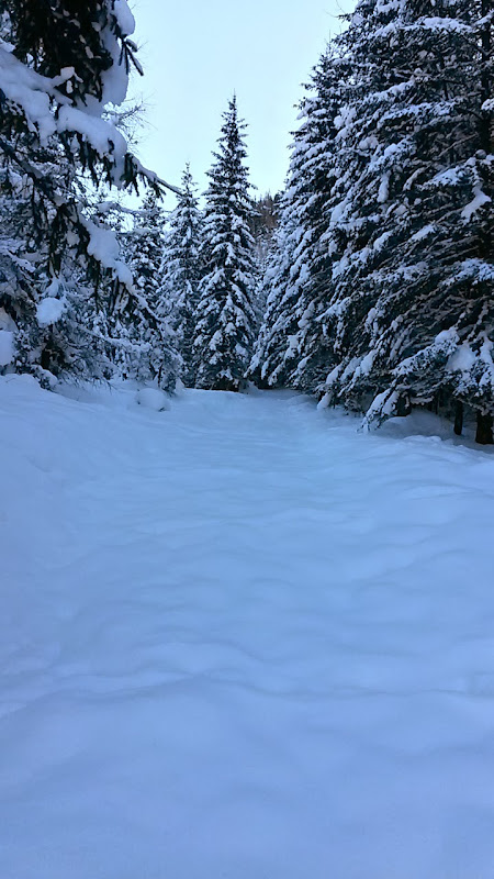 lh6.googleusercontent.com_-yz7gtuan9wk_upytpwcwo5i_aaaaaaaaswa_qrnkj618tyk_w450-h800-no_20131202_104156_richtone_2528hdr_2529.jpg lh6.googleusercontent.com_-yz7gtuan9wk_upytpwcwo5i_aaaaaaaaswa_qrnkj618tyk_w450-h800-no_20131202_104156_richtone_2528hdr_2529.jpg