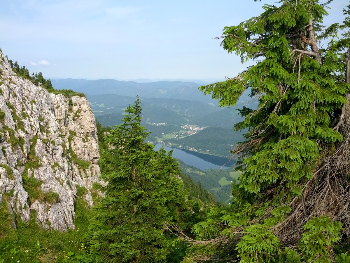 lh5.googleusercontent.com_-rdvmlzz-5vm_uefe_ladafi_aaaaaaaaowe_plk-jz8drcw_w1200-h900-no_img_20130713_090719.jpg lh5.googleusercontent.com_-rdvmlzz-5vm_uefe_ladafi_aaaaaaaaowe_plk-jz8drcw_w1200-h900-no_img_20130713_090719.jpg