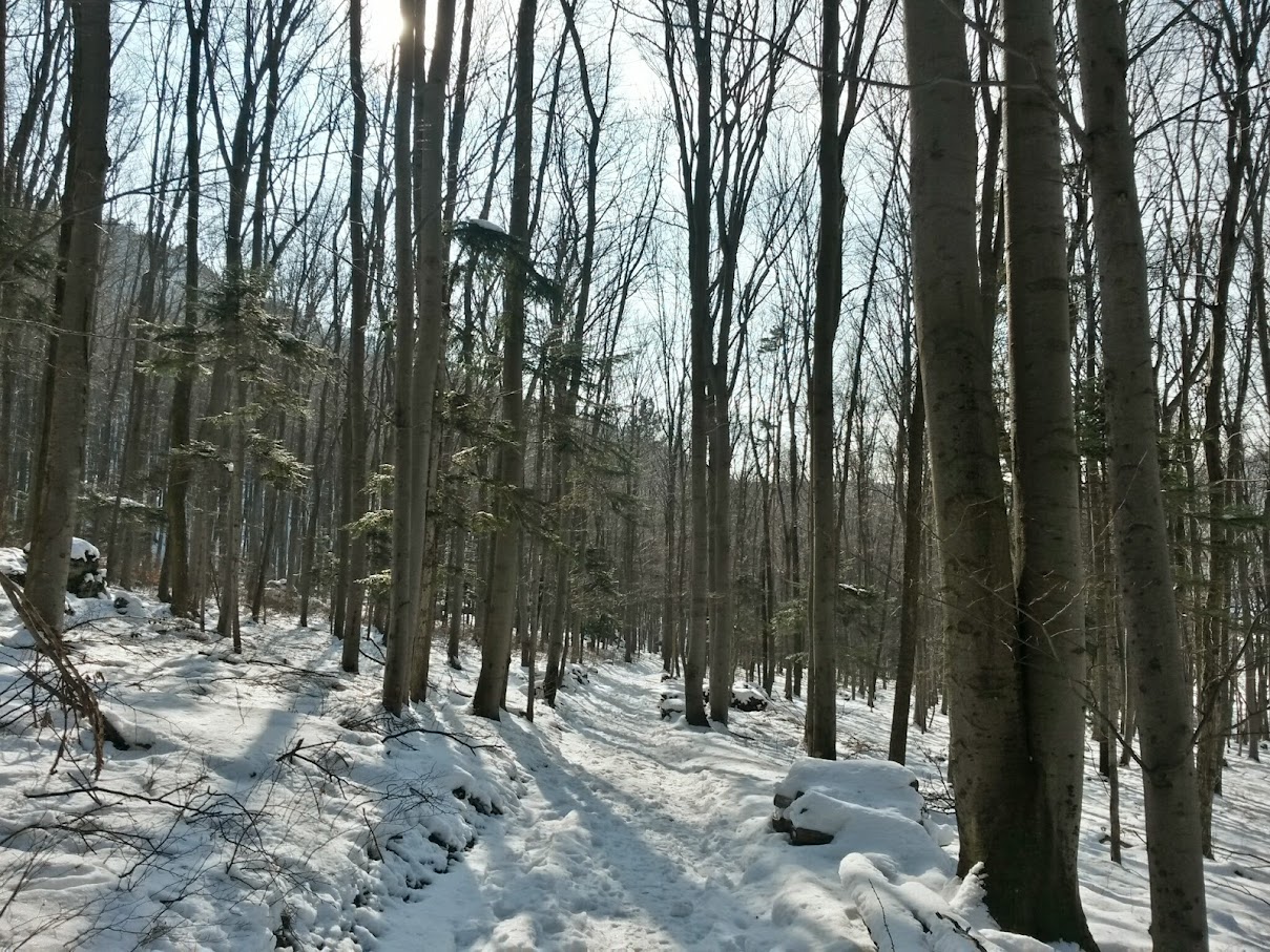 lh6.googleusercontent.com_-h18t5w_4pkk_vnyw3pnmoli_aaaaaaaahvm_6gy2ivrjfpk_w1209-h907-no_20150207_123139_richtone_28hdr_29.jpg lh6.googleusercontent.com_-h18t5w_4pkk_vnyw3pnmoli_aaaaaaaahvm_6gy2ivrjfpk_w1209-h907-no_20150207_123139_richtone_28hdr_29.jpg