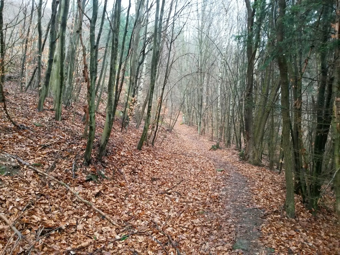 lh3.googleusercontent.com_-nzcnsdg11ws_uwjehq_kpqi_aaaaaaaavyy_znmlyzk3fbs_w1155-h866-no_20140222_114848.jpg lh3.googleusercontent.com_-nzcnsdg11ws_uwjehq_kpqi_aaaaaaaavyy_znmlyzk3fbs_w1155-h866-no_20140222_114848.jpg