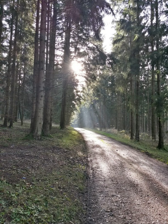 lh5.googleusercontent.com_-i5klk74hcnk_vhicmtsehmi_aaaaaaaafha_gdzubmotur0_w691-h921-no_20141122_134351_richtone_28hdr_29.jpg lh5.googleusercontent.com_-i5klk74hcnk_vhicmtsehmi_aaaaaaaafha_gdzubmotur0_w691-h921-no_20141122_134351_richtone_28hdr_29.jpg