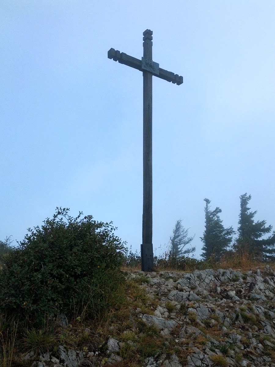 lh3.googleusercontent.com_-mmtouimnekw_ugyraqnn6fi_aaaaaaaapze_l4ugoq9emgy_w900-h1200-no_img_20130810_095637.jpg lh3.googleusercontent.com_-mmtouimnekw_ugyraqnn6fi_aaaaaaaapze_l4ugoq9emgy_w900-h1200-no_img_20130810_095637.jpg