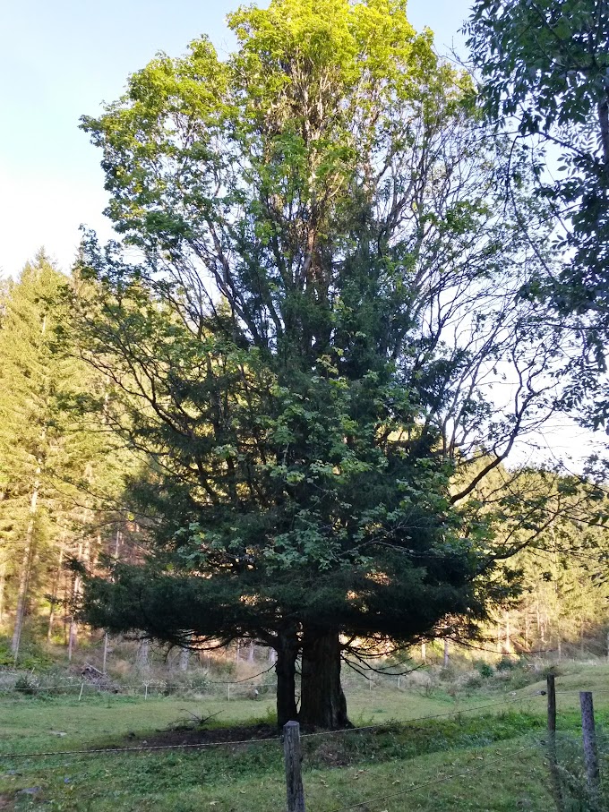 lh4.googleusercontent.com_-3nf9gev7lfm_vfrbdcrgiui_aaaaaaaan1a_9puqea8c5d0_w680-h907-no_20150912_171759_richtone_2528hdr_2529.jpg lh4.googleusercontent.com_-3nf9gev7lfm_vfrbdcrgiui_aaaaaaaan1a_9puqea8c5d0_w680-h907-no_20150912_171759_richtone_2528hdr_2529.jpg