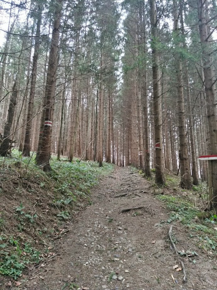 lh6.googleusercontent.com_-qdbutg14tso_vleng6rk17i_aaaaaaaag2o_q1qdcidjo-m_w691-h921-no_20150110_102854_richtone_28hdr_29.jpg lh6.googleusercontent.com_-qdbutg14tso_vleng6rk17i_aaaaaaaag2o_q1qdcidjo-m_w691-h921-no_20150110_102854_richtone_28hdr_29.jpg