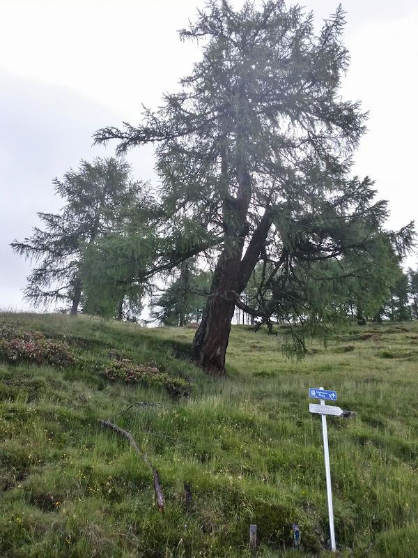 lh3.googleusercontent.com_-dzwjkn-z3te_vyqzrevjeai_aaaaaaaamlq_uykeleavafu_w600-h800-no_20150624_101456_richtone_2528hdr_2529.jpg lh3.googleusercontent.com_-dzwjkn-z3te_vyqzrevjeai_aaaaaaaamlq_uykeleavafu_w600-h800-no_20150624_101456_richtone_2528hdr_2529.jpg