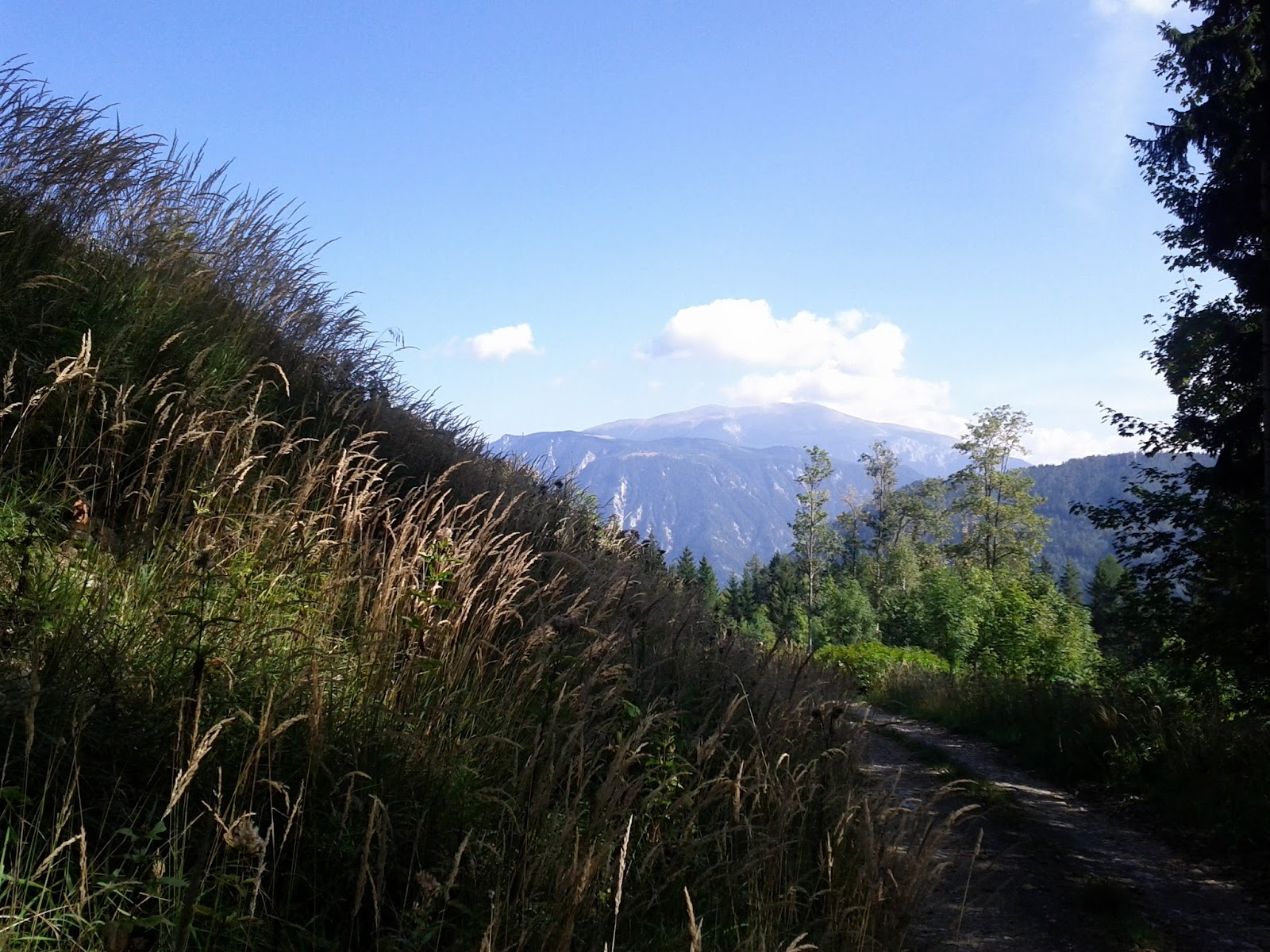 lh6.googleusercontent.com_-b30z9zsvrto_tn4syi5hhsi_aaaaaaaaaje_avf1fp-qmmk_w1600-h1200-no_img_20110924_141512.jpg lh6.googleusercontent.com_-b30z9zsvrto_tn4syi5hhsi_aaaaaaaaaje_avf1fp-qmmk_w1600-h1200-no_img_20110924_141512.jpg