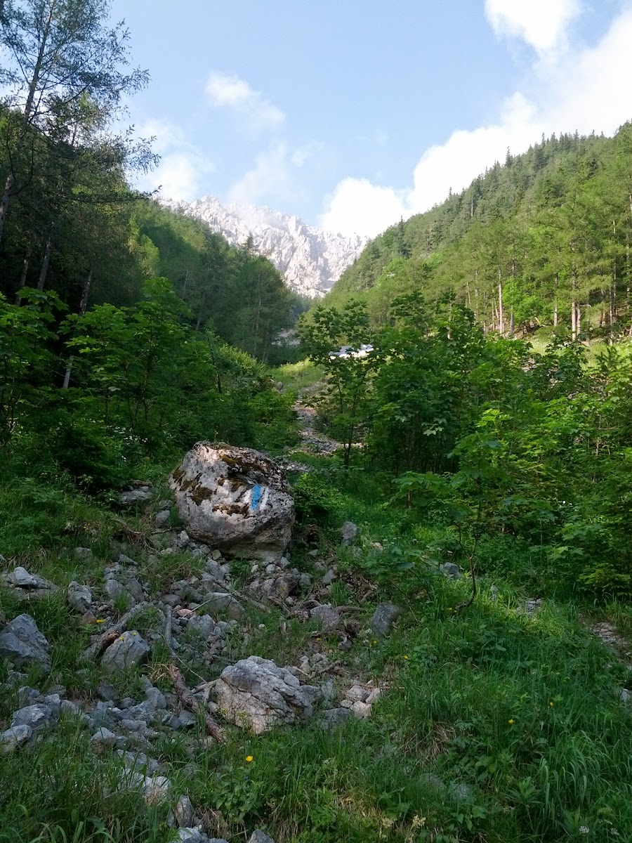 lh3.googleusercontent.com_-1_oblouhhq4_ucwmzu0ztei_aaaaaaaan28_lg1s34e6dam_w900-h1200-no_img_20130622_075907.jpg lh3.googleusercontent.com_-1_oblouhhq4_ucwmzu0ztei_aaaaaaaan28_lg1s34e6dam_w900-h1200-no_img_20130622_075907.jpg