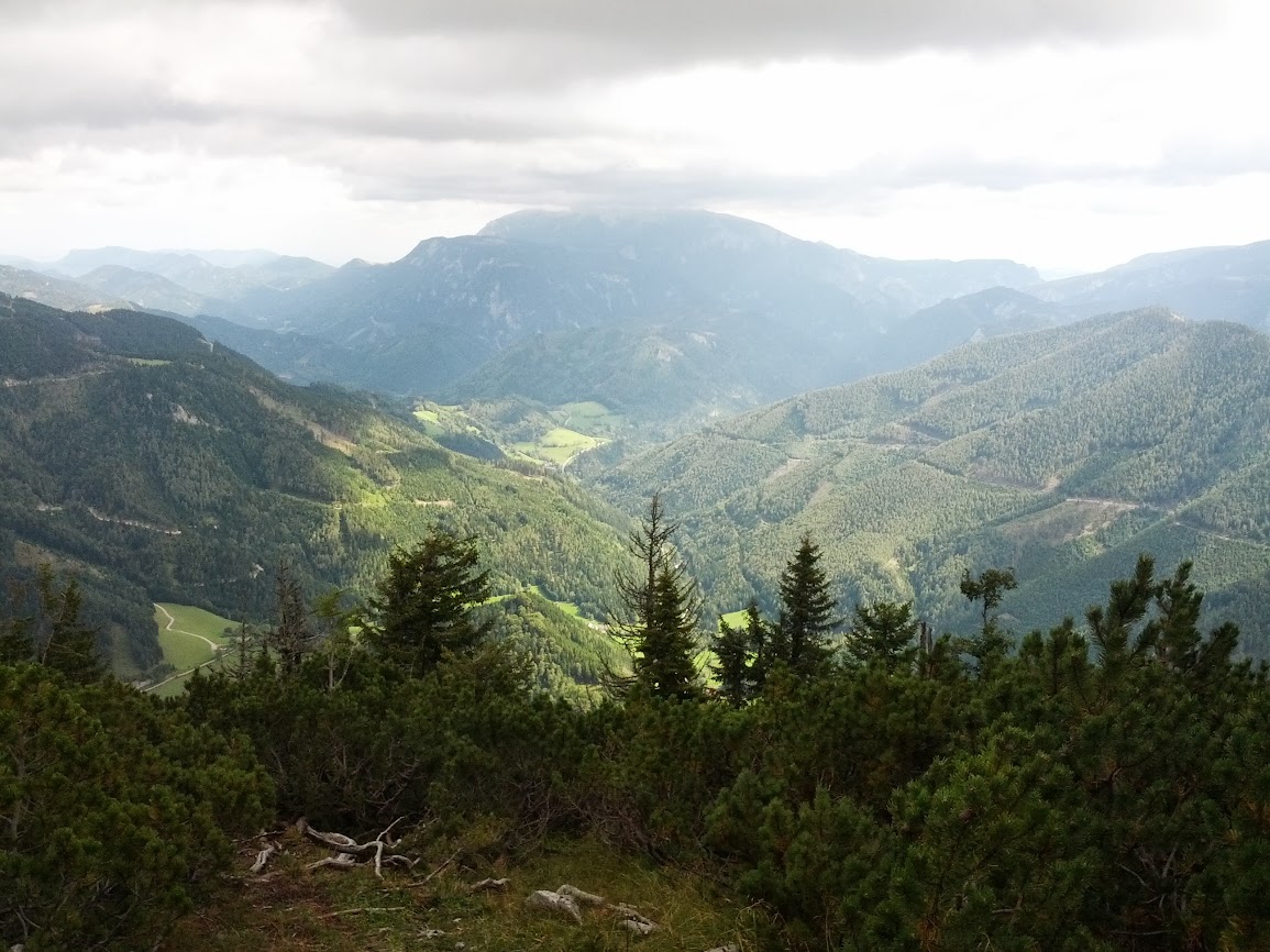 lh4.googleusercontent.com_-uaz4ddjj_v8_ujswzf_5eei_aaaaaaaaquo_9uqlybk5jce_w1155-h866-no_img_20130914_125210.jpg lh4.googleusercontent.com_-uaz4ddjj_v8_ujswzf_5eei_aaaaaaaaquo_9uqlybk5jce_w1155-h866-no_img_20130914_125210.jpg