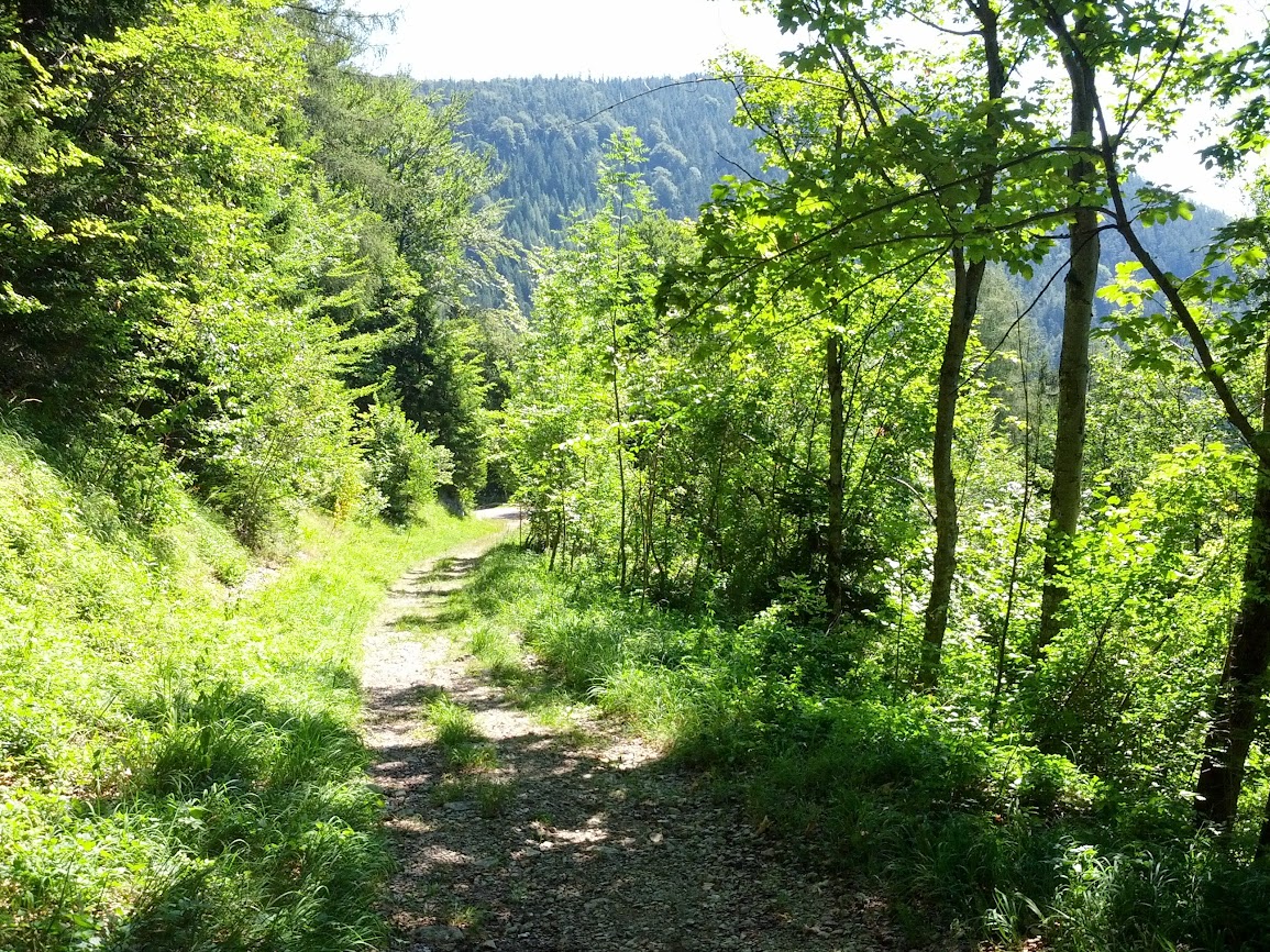 lh6.googleusercontent.com_-mwhisn87d54_ufzud5jdbfi_aaaaaaaapui_38-zupftjo0_w1155-h866-no_img_20130803_105423.jpg lh6.googleusercontent.com_-mwhisn87d54_ufzud5jdbfi_aaaaaaaapui_38-zupftjo0_w1155-h866-no_img_20130803_105423.jpg