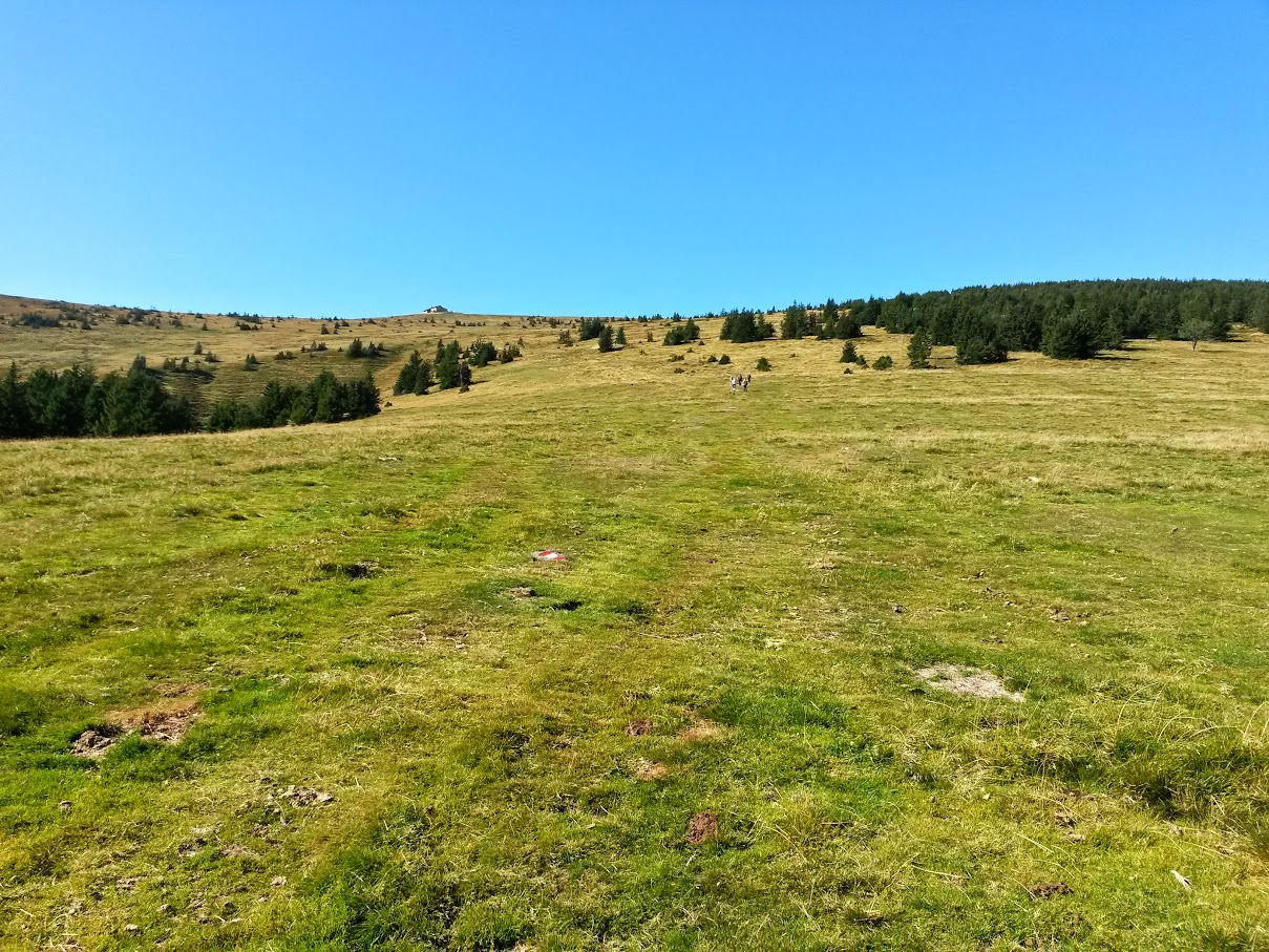 lh6.googleusercontent.com_-ouue5nkzunu_vfrzsk0ebxi_aaaaaaaany0_kgb4mbfh6w_w1209-h907-no_20150912_103129_richtone_2528hdr_2529.jpg lh6.googleusercontent.com_-ouue5nkzunu_vfrzsk0ebxi_aaaaaaaany0_kgb4mbfh6w_w1209-h907-no_20150912_103129_richtone_2528hdr_2529.jpg