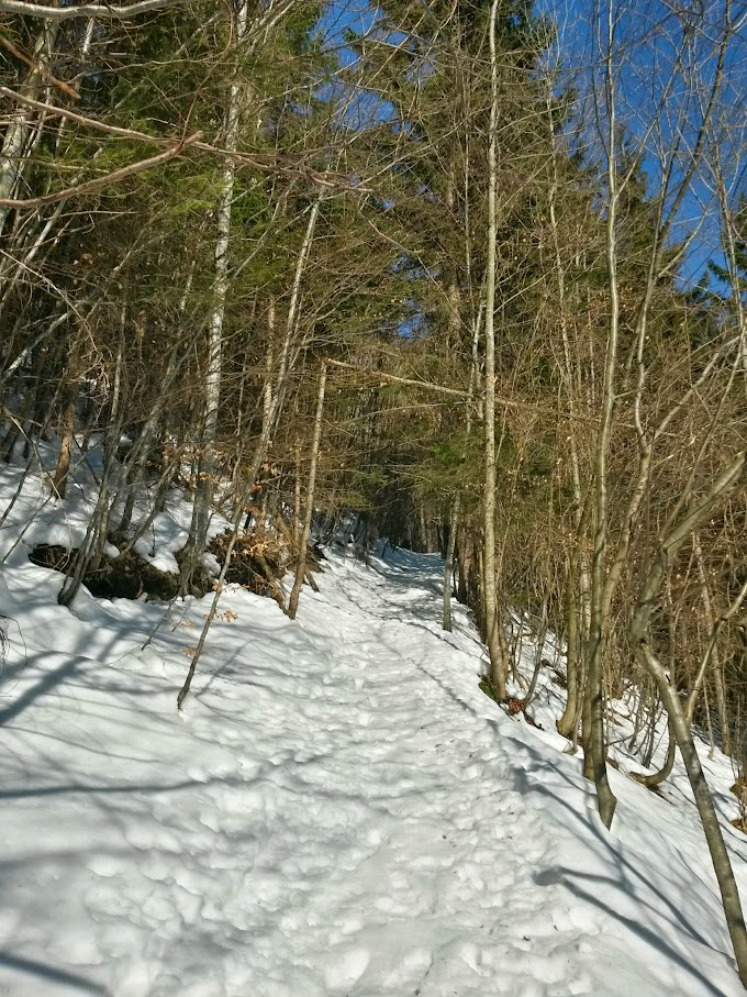 lh6.googleusercontent.com_-q8q2uo5_w_u_voiipkr22di_aaaaaaaahf0_lqcprscjqey_w680-h907-no_20150221_103752_richtone_28hdr_29.jpg lh6.googleusercontent.com_-q8q2uo5_w_u_voiipkr22di_aaaaaaaahf0_lqcprscjqey_w680-h907-no_20150221_103752_richtone_28hdr_29.jpg