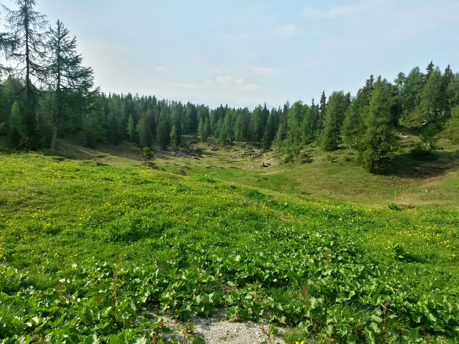 lh3.googleusercontent.com_-u4nkicfjhka_u5m8rcstboi_aaaaaaaazdk_rcl04teitbk_w1600-h1200-no_20140612_084616_richtone_2528hdr_2529.jpg lh3.googleusercontent.com_-u4nkicfjhka_u5m8rcstboi_aaaaaaaazdk_rcl04teitbk_w1600-h1200-no_20140612_084616_richtone_2528hdr_2529.jpg