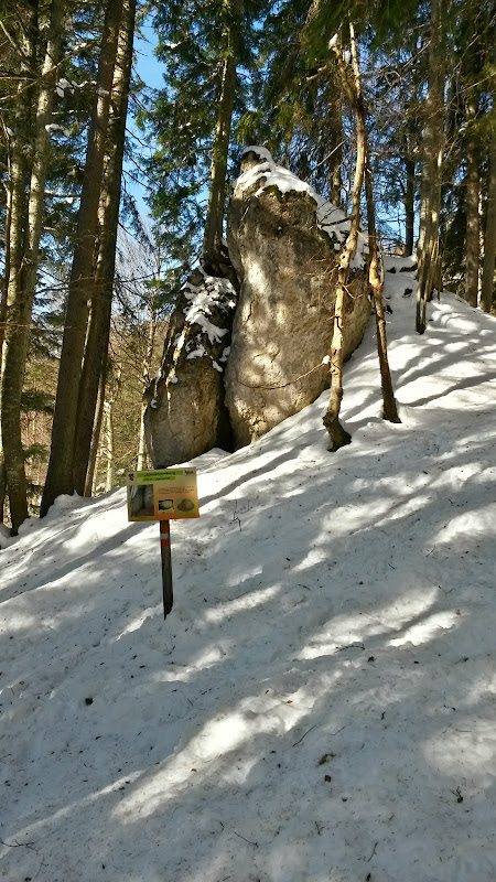 lh6.googleusercontent.com_-uclgidwghyu_up9sbte70si_aaaaaaaatfs_pii6r-1bgto_w450-h800-no_20131204_105450_richtone_2528hdr_2529.jpg lh6.googleusercontent.com_-uclgidwghyu_up9sbte70si_aaaaaaaatfs_pii6r-1bgto_w450-h800-no_20131204_105450_richtone_2528hdr_2529.jpg