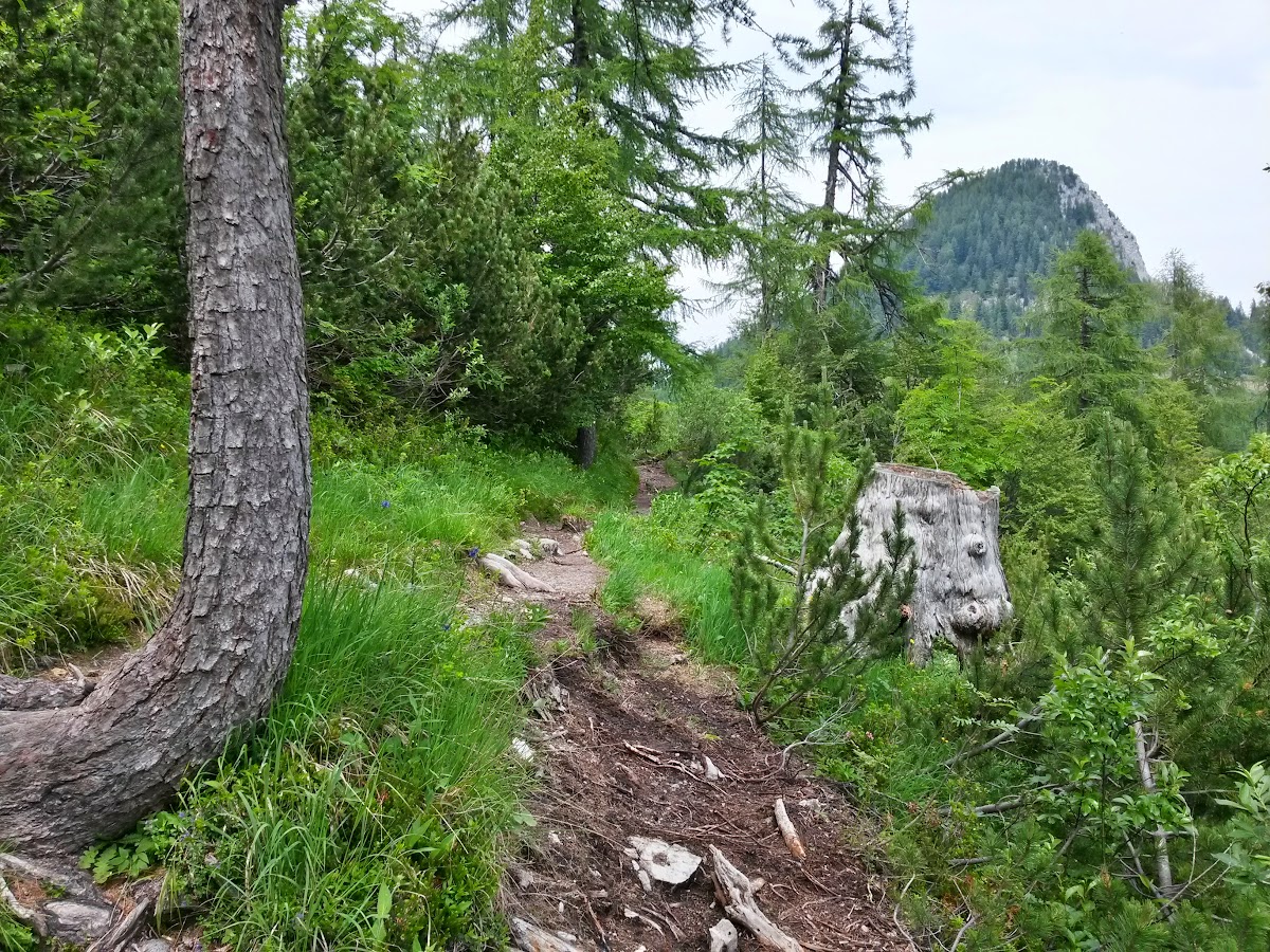 lh3.googleusercontent.com_-j8ojvp3k_ck_vyk9q5mowli_aaaaaaaakym_uzb7zsbljdu_w1200-h900-no_20150618_133516_richtone_2528hdr_2529.jpg lh3.googleusercontent.com_-j8ojvp3k_ck_vyk9q5mowli_aaaaaaaakym_uzb7zsbljdu_w1200-h900-no_20150618_133516_richtone_2528hdr_2529.jpg