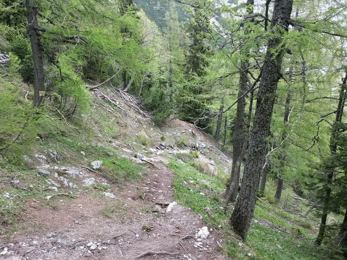 lh5.googleusercontent.com_-2apdsfnksyo_u4hj21jzgzi_aaaaaaaayzw_mhdrhbs9biq_w1155-h866-no_20140525_113544_richtone_2528hdr_2529.jpg lh5.googleusercontent.com_-2apdsfnksyo_u4hj21jzgzi_aaaaaaaayzw_mhdrhbs9biq_w1155-h866-no_20140525_113544_richtone_2528hdr_2529.jpg