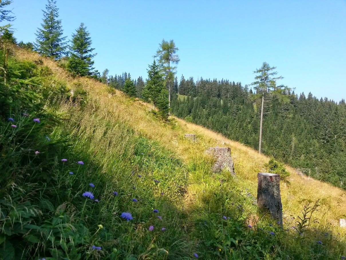 lh6.googleusercontent.com_-g4rlbbqjay8_vcyetndcj3i_aaaaaaaanfo_wxzoeccce1e_w1209-h907-no_20150808_101536_richtone_2528hdr_2529.jpg lh6.googleusercontent.com_-g4rlbbqjay8_vcyetndcj3i_aaaaaaaanfo_wxzoeccce1e_w1209-h907-no_20150808_101536_richtone_2528hdr_2529.jpg