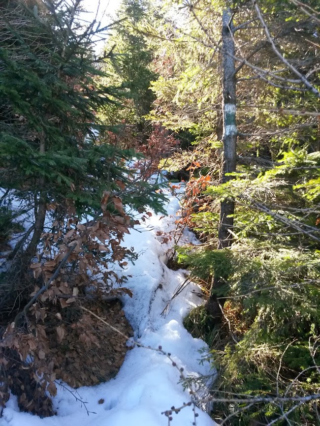 lh5.googleusercontent.com_-at3jagdhg-o_uxg7l8-mkai_aaaaaaaavhi_bowvoyus3f8_w650-h866-no_20140301_105811.jpg lh5.googleusercontent.com_-at3jagdhg-o_uxg7l8-mkai_aaaaaaaavhi_bowvoyus3f8_w650-h866-no_20140301_105811.jpg