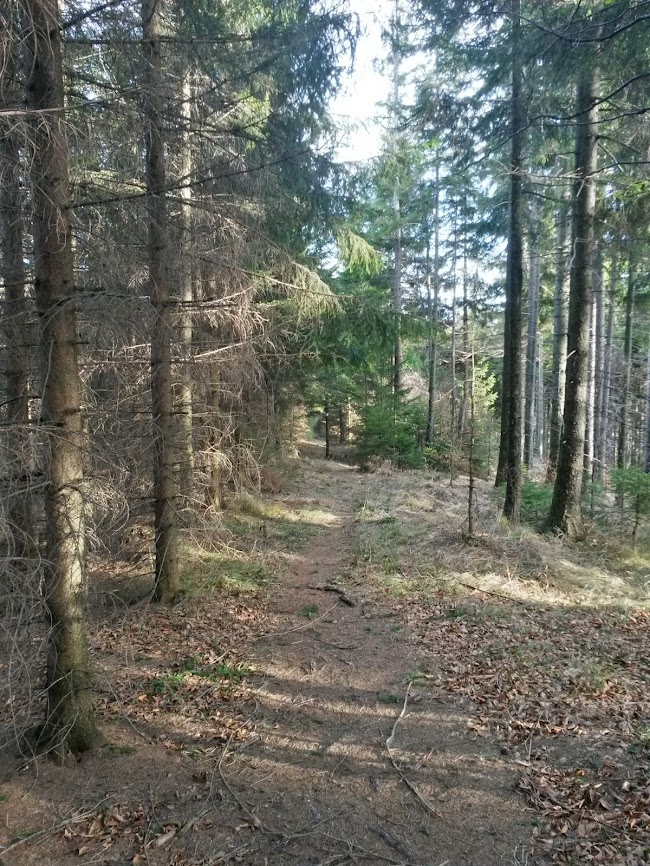 lh6.googleusercontent.com_-qetjwae8nw4_ur7pkujxtmi_aaaaaaaauka_sdpcci_u0yc_w650-h866-no_20131228_124728_richtone_2528hdr_2529.jpg lh6.googleusercontent.com_-qetjwae8nw4_ur7pkujxtmi_aaaaaaaauka_sdpcci_u0yc_w650-h866-no_20131228_124728_richtone_2528hdr_2529.jpg