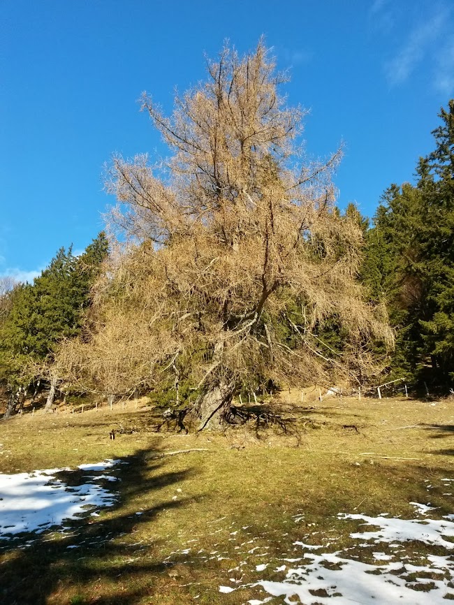 lh4.googleusercontent.com_-u00miwnunna_uvzllbdkapi_aaaaaaaaveu_i0ap5bszzgw_w650-h866-no_20140208_102700_richtone_2528hdr_2529.jpg lh4.googleusercontent.com_-u00miwnunna_uvzllbdkapi_aaaaaaaaveu_i0ap5bszzgw_w650-h866-no_20140208_102700_richtone_2528hdr_2529.jpg