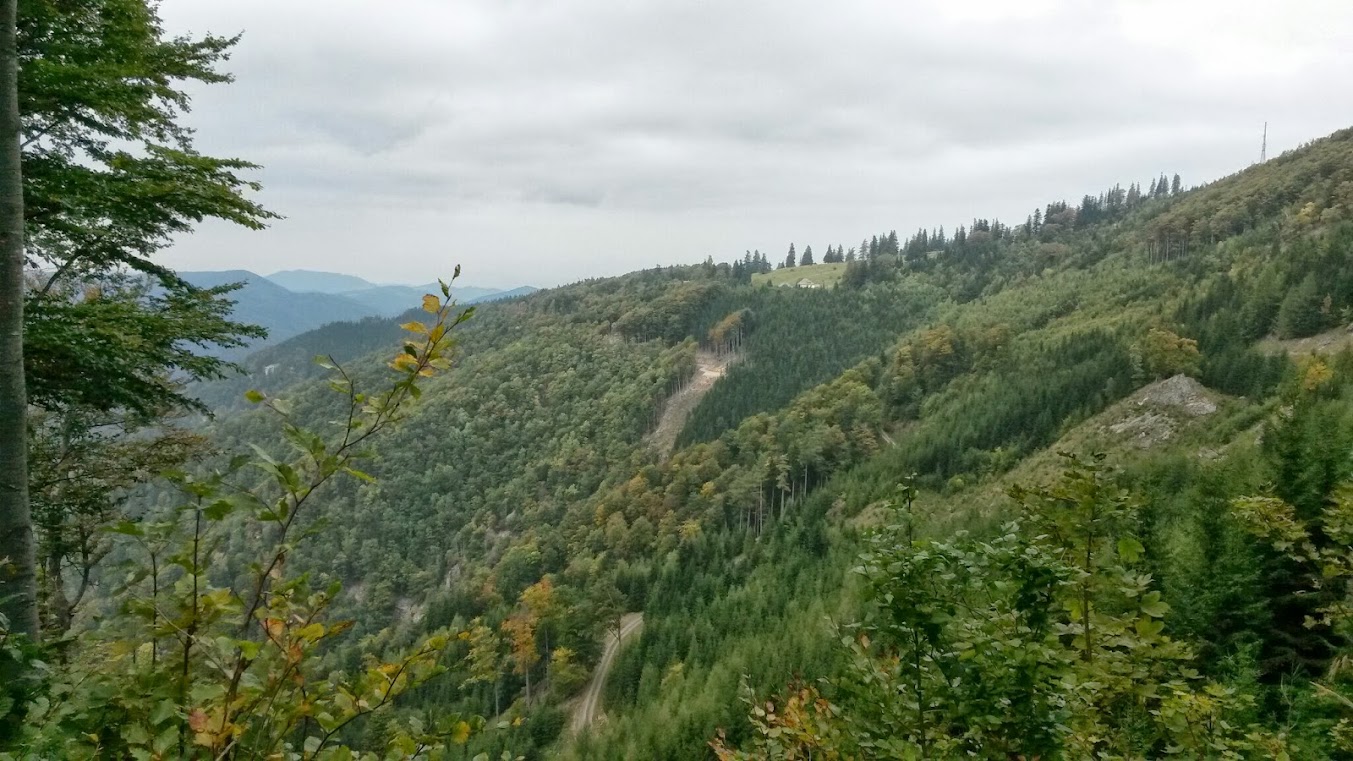 lh3.googleusercontent.com_-4-dxoimw0es_ukglpypw9ti_aaaaaaaaqvy_iq3srcgrwym_w1353-h761-no_20130929_115422.jpg lh3.googleusercontent.com_-4-dxoimw0es_ukglpypw9ti_aaaaaaaaqvy_iq3srcgrwym_w1353-h761-no_20130929_115422.jpg