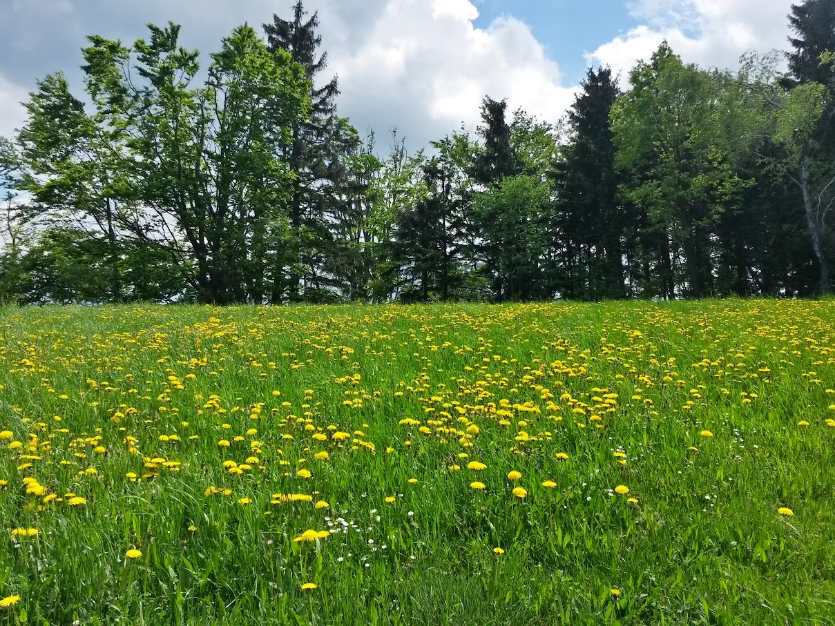 lh4.googleusercontent.com_-wjywaptuym4_vvstrfdrugi_aaaaaaaajc4_c2tajbihtp8_w1209-h907-no_20150514_134243_richtone_2528hdr_2529.jpg lh4.googleusercontent.com_-wjywaptuym4_vvstrfdrugi_aaaaaaaajc4_c2tajbihtp8_w1209-h907-no_20150514_134243_richtone_2528hdr_2529.jpg