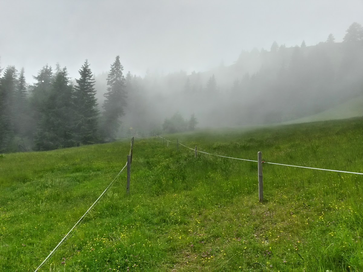 lh5.googleusercontent.com_-x1fsonwn9ri_vx6m2wku7ti_aaaaaaaakfi_s0w1rp0uosq_w1200-h900-no_20150615_111205_richtone_2528hdr_2529.jpg lh5.googleusercontent.com_-x1fsonwn9ri_vx6m2wku7ti_aaaaaaaakfi_s0w1rp0uosq_w1200-h900-no_20150615_111205_richtone_2528hdr_2529.jpg