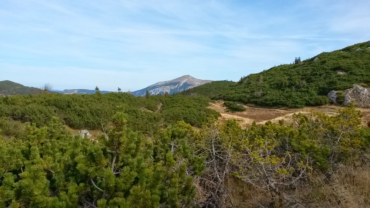 lh4.googleusercontent.com_-j60cawe501e_um0dog-3bpi_aaaaaaaareo_hqozoj9j-qa_w1280-h720-no_20131027_111727.jpg lh4.googleusercontent.com_-j60cawe501e_um0dog-3bpi_aaaaaaaareo_hqozoj9j-qa_w1280-h720-no_20131027_111727.jpg