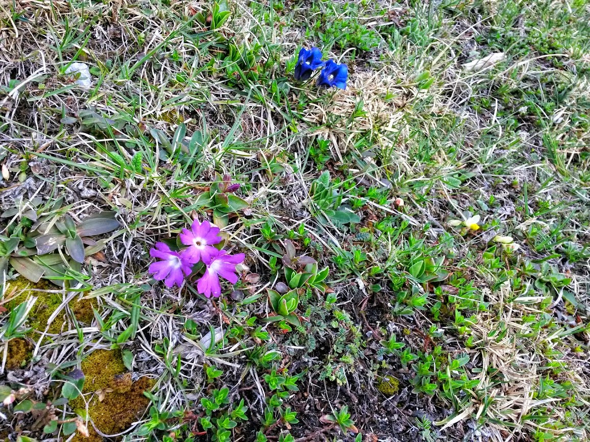 lh4.googleusercontent.com_-cq53-0nfzrw_u2i-78rtsmi_aaaaaaaaxtu_d0loco7cj30_w1155-h866-no_20140501_113907_richtone_2528hdr_2529.jpg lh4.googleusercontent.com_-cq53-0nfzrw_u2i-78rtsmi_aaaaaaaaxtu_d0loco7cj30_w1155-h866-no_20140501_113907_richtone_2528hdr_2529.jpg