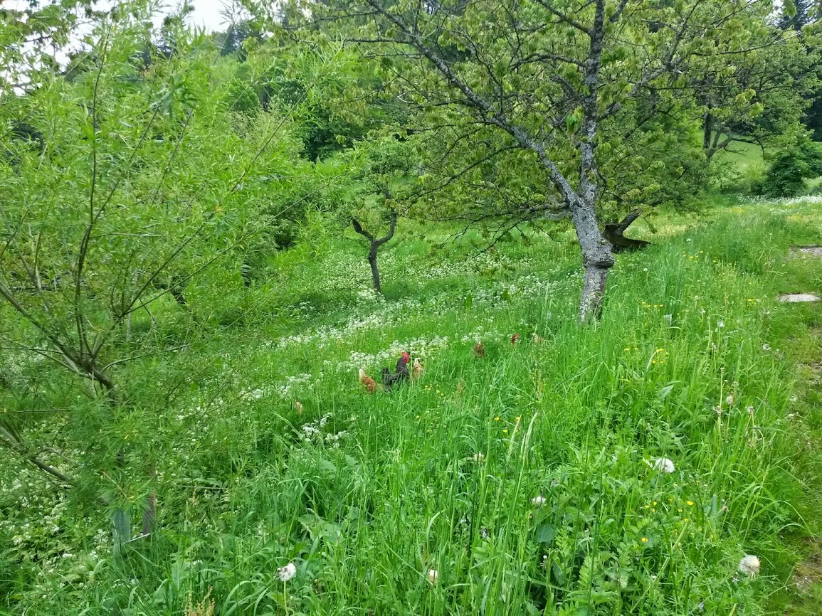 lh6.googleusercontent.com_-nu1q8fk-2we_u4chss6y8wi_aaaaaaaayt8_0w0u4oa4zmq_w1155-h866-no_20140524_110348_richtone_2528hdr_2529.jpg lh6.googleusercontent.com_-nu1q8fk-2we_u4chss6y8wi_aaaaaaaayt8_0w0u4oa4zmq_w1155-h866-no_20140524_110348_richtone_2528hdr_2529.jpg