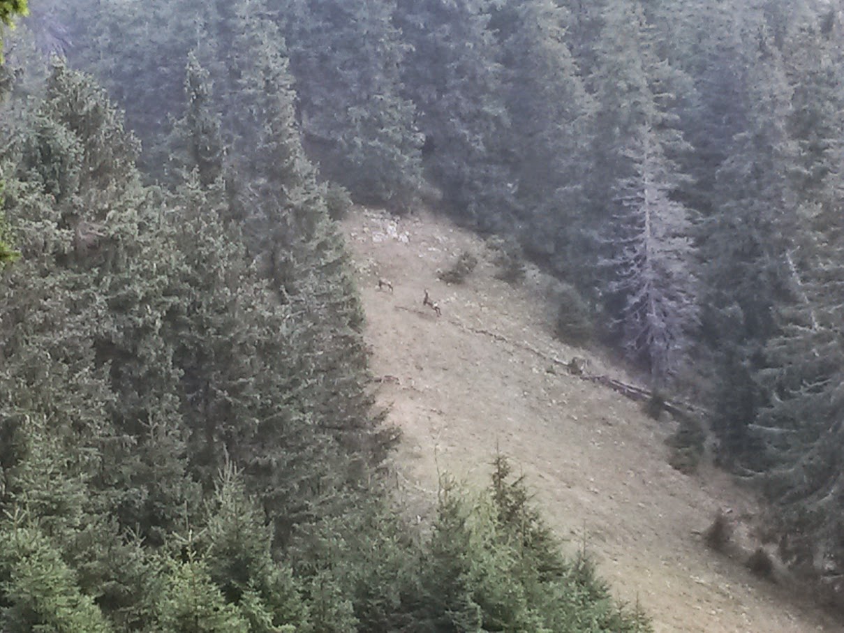 lh6.googleusercontent.com_-oq6kzqr6qfw_vf14ymo9nqi_aaaaaaaan7k_3otcyfvbt2w_w1209-h907-no_20150919_110406.jpg lh6.googleusercontent.com_-oq6kzqr6qfw_vf14ymo9nqi_aaaaaaaan7k_3otcyfvbt2w_w1209-h907-no_20150919_110406.jpg