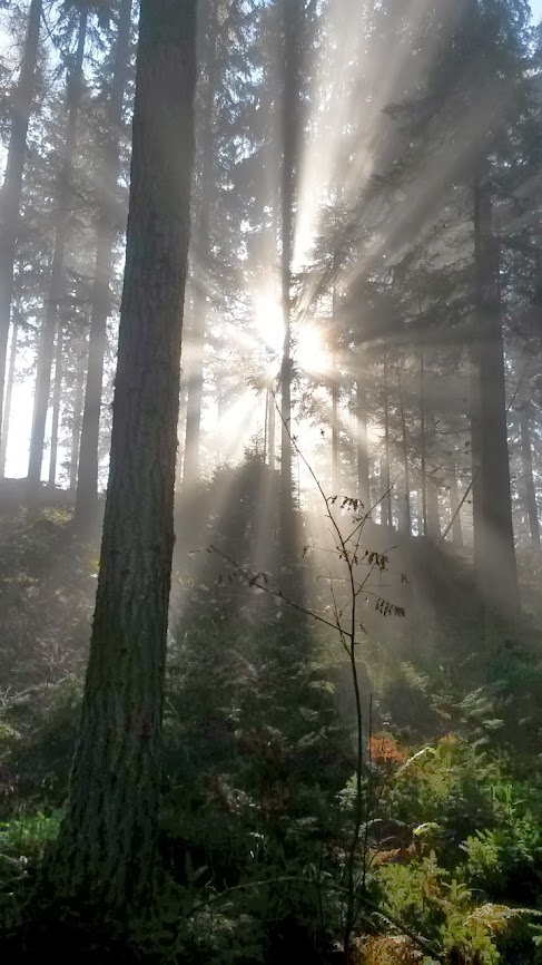 lh5.googleusercontent.com_-cnf7doptntu_unpb1gtzjzi_aaaaaaaaroc_eflxk77felc_w487-h866-no_20131101_131542.jpg lh5.googleusercontent.com_-cnf7doptntu_unpb1gtzjzi_aaaaaaaaroc_eflxk77felc_w487-h866-no_20131101_131542.jpg